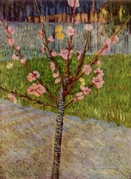  Blossom Painting - Almond Tree in Blossom Vincent van Gogh